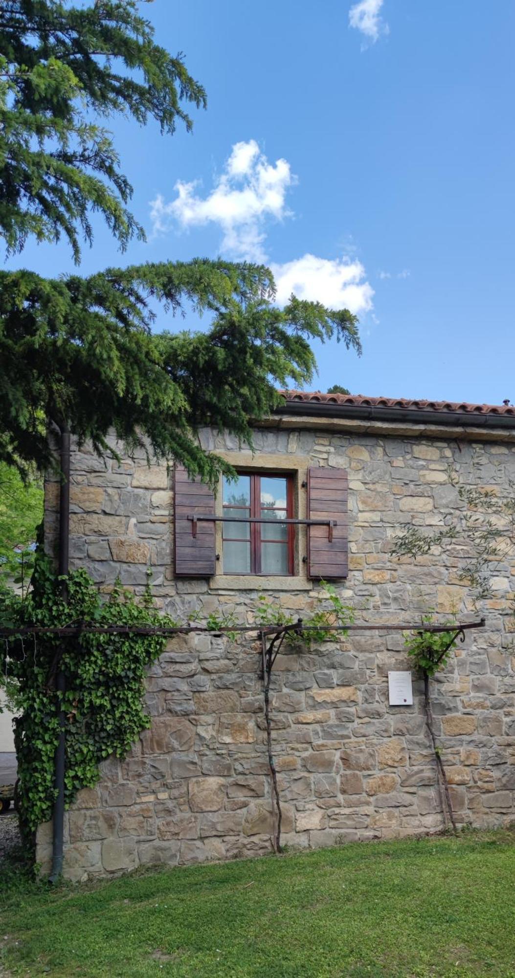 Bordon Wines, Estate With Accommodation Dekani Exterior photo